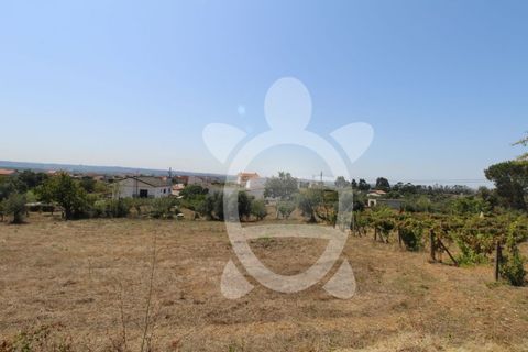 Terra a Vila Verde, Coimbra, Vila Verde - € 24.900 | Ref: ff0844 - foto 2