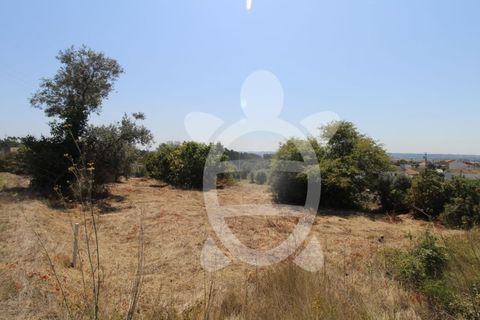 Terra a Vila Verde, Coimbra, Vila Verde - € 24.900 | Ref: ff0844 - foto 3