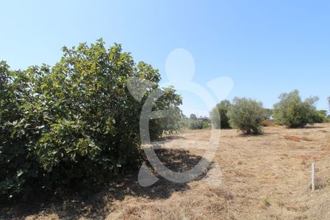 Terra a Vila Verde, Coimbra, Vila Verde - € 24.900 | Ref: ff0844 - foto 4