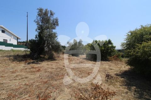 Terra a Vila Verde, Coimbra, Vila Verde - € 24.900 | Ref: ff0844 - foto 5