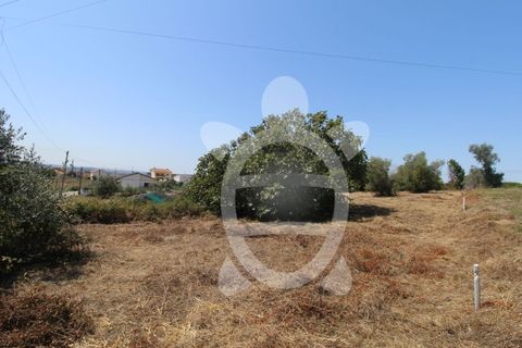 Terra a Vila Verde, Coimbra, Vila Verde - € 24.900 | Ref: ff0844 - foto 6