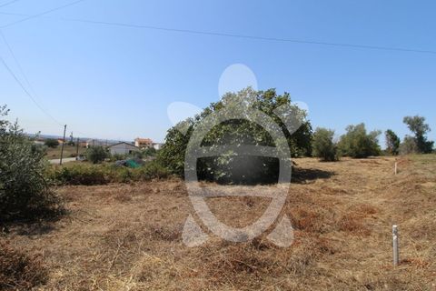 Terra a Vila Verde, Coimbra, Vila Verde - € 24.900 | Ref: ff0844 - foto 7