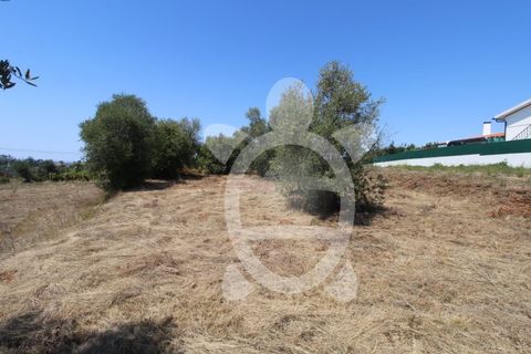Terra a Vila Verde, Coimbra, Vila Verde - € 24.900 | Ref: ff0844 - foto 8