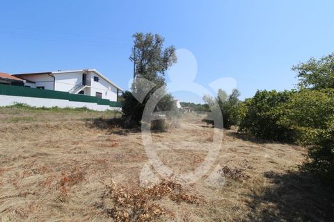 Terra a Vila Verde, Coimbra, Vila Verde - € 24.900 | Ref: ff0844 - foto 9