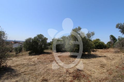 Terra a Vila Verde, Coimbra, Vila Verde - € 24.900 | Ref: ff0844 - foto 11
