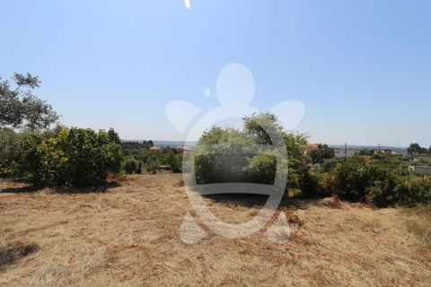 Terra a Vila Verde, Coimbra, Vila Verde - € 24.900 | Ref: ff0844 - foto 13