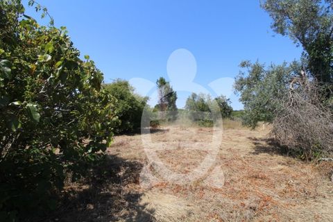 Terra a Vila Verde, Coimbra, Vila Verde - € 24.900 | Ref: ff0844 - foto 15