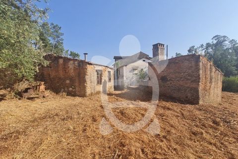 Villa i Miranda do Corvo, Coimbra, Miranda do Corvo - € 55.000 | Ref: cbr1930 - foto 2
