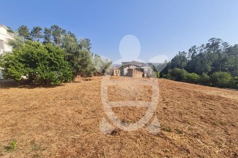 Villa i Miranda do Corvo, Coimbra, Miranda do Corvo - € 55.000 | Ref: cbr1930 - foto 3