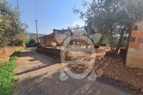 Villa i Miranda do Corvo, Coimbra, Miranda do Corvo - € 55.000 | Ref: cbr1930 - foto 4
