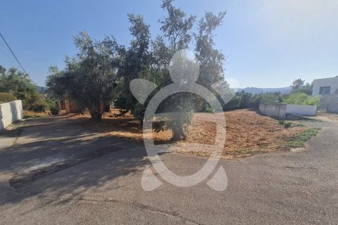 Villa i Miranda do Corvo, Coimbra, Miranda do Corvo - € 55.000 | Ref: cbr1930 - foto 5