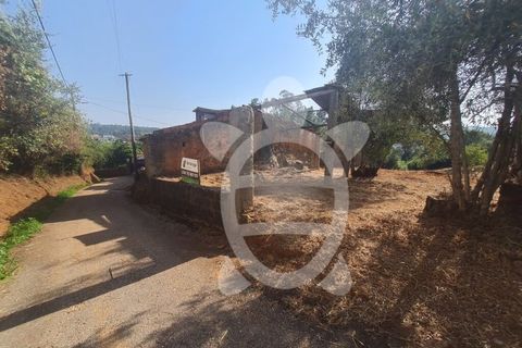 Villa i Miranda do Corvo, Coimbra, Miranda do Corvo - € 55.000 | Ref: cbr1930 - foto 6