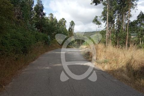 Helårsgrund i Coimbra, Coimbra, Coimbra - € 49.000 | Ref: cbr1926 - foto 2
