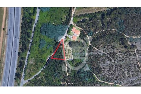 Helårsgrund i Coimbra, Coimbra, Coimbra - € 49.000 | Ref: cbr1926 - foto 7