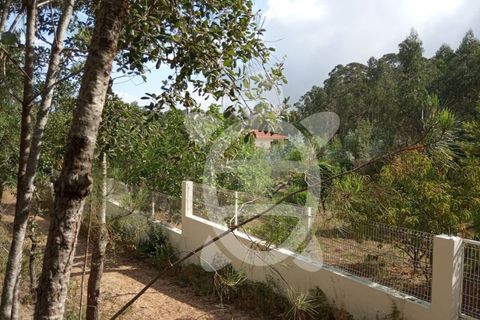 Helårsgrund i Coimbra, Coimbra, Coimbra - € 49.000 | Ref: cbr1926 - foto 12