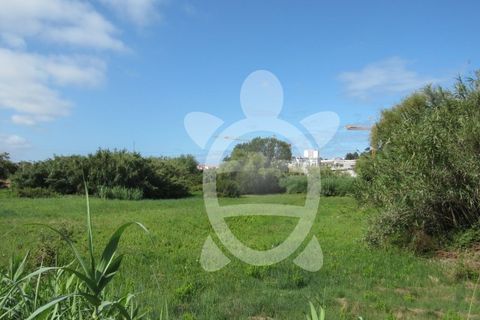 Helårsgrund i Tavarede, Coimbra, Tavarede - € 174.900 | Ref: ff0832 - foto 2