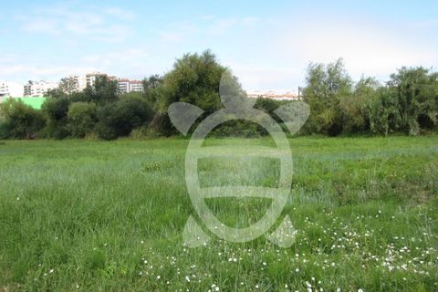 Helårsgrund i Tavarede, Coimbra, Tavarede - € 174.900 | Ref: ff0832 - foto 6