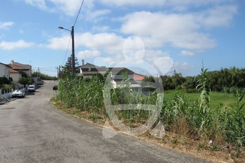 Helårsgrund i Tavarede, Coimbra, Tavarede - € 174.900 | Ref: ff0832 - foto 8