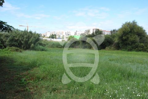 Helårsgrund i Tavarede, Coimbra, Tavarede - € 174.900 | Ref: ff0832 - foto 9