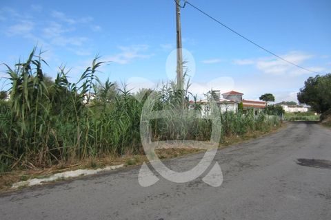 Helårsgrund i Tavarede, Coimbra, Tavarede - € 174.900 | Ref: ff0832 - foto 11