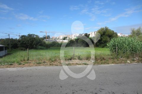 Helårsgrund i Tavarede, Coimbra, Tavarede - € 174.900 | Ref: ff0832 - foto 14