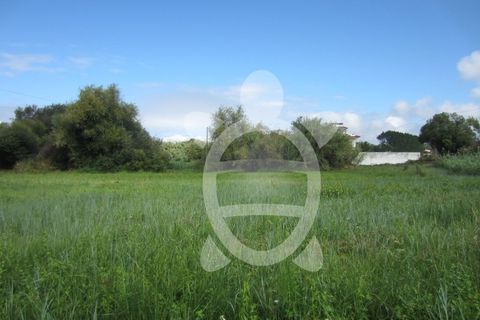 Helårsgrund i Tavarede, Coimbra, Tavarede - € 174.900 | Ref: ff0832 - foto 15