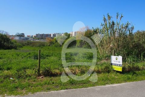 Helårsgrund i Tavarede, Coimbra, Tavarede - € 174.900 | Ref: ff0832 - foto 17