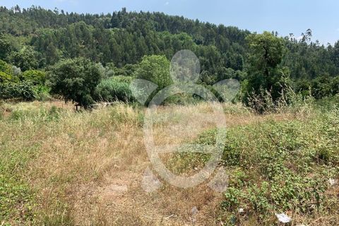 Helårsgrund i Coimbra, Coimbra, Coimbra - € 128.000 | Ref: cbr1905 - foto 2