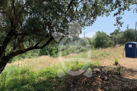 Helårsgrund i Coimbra, Coimbra, Coimbra - € 128.000 | Ref: cbr1905 - foto 3