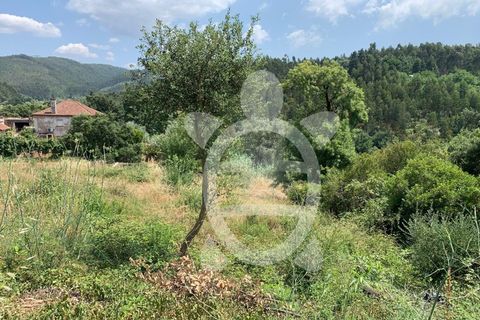 Helårsgrund i Coimbra, Coimbra, Coimbra - € 128.000 | Ref: cbr1905 - foto 6