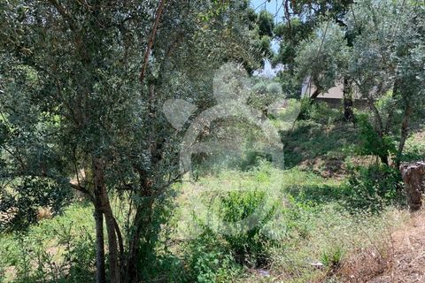Helårsgrund i Coimbra, Coimbra, Coimbra - € 128.000 | Ref: cbr1905 - foto 7