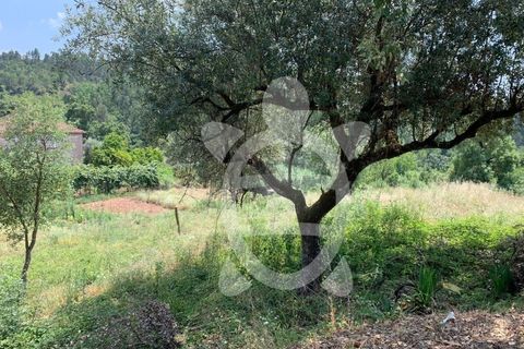Helårsgrund i Coimbra, Coimbra, Coimbra - € 128.000 | Ref: cbr1905 - foto 10