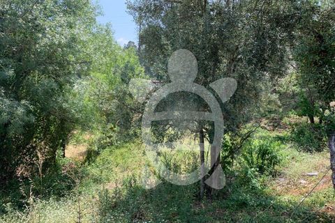 Helårsgrund i Coimbra, Coimbra, Coimbra - € 128.000 | Ref: cbr1905 - foto 11