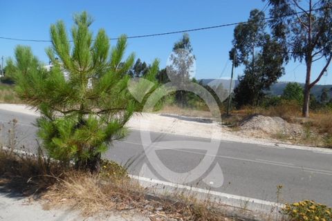 Helårsgrund i Coimbra, Coimbra, Coimbra - € 70.000 | Ref: cbr1921 - foto 8