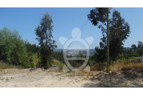 Helårsgrund i Coimbra, Coimbra, Coimbra - € 70.000 | Ref: cbr1921 - foto 10
