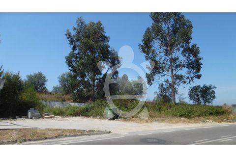 Helårsgrund i Coimbra, Coimbra, Coimbra - € 70.000 | Ref: cbr1921 - foto 11