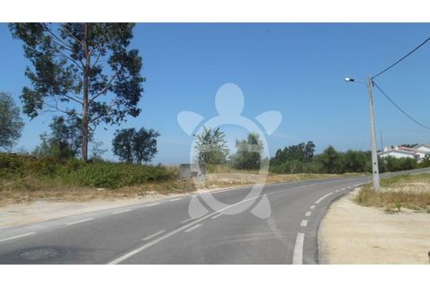 Helårsgrund i Coimbra, Coimbra, Coimbra - € 70.000 | Ref: cbr1921 - foto 12