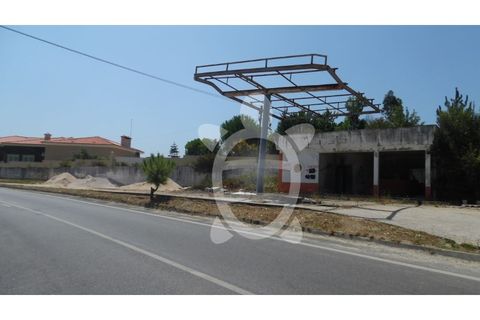 Helårsgrund i Coimbra, Coimbra, Coimbra - € 70.000 | Ref: cbr1921 - foto 13