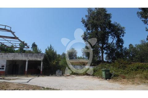 Helårsgrund i Coimbra, Coimbra, Coimbra - € 70.000 | Ref: cbr1921 - foto 14