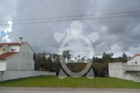 Tomt i Condeixa-a-Nova, Coimbra, Condeixa-a-Nova - € 56 500 | Ref: cdx0405 - foto 3