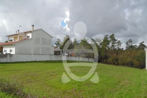 Tomt i Condeixa-a-Nova, Coimbra, Condeixa-a-Nova - € 56 500 | Ref: cdx0405 - foto 4