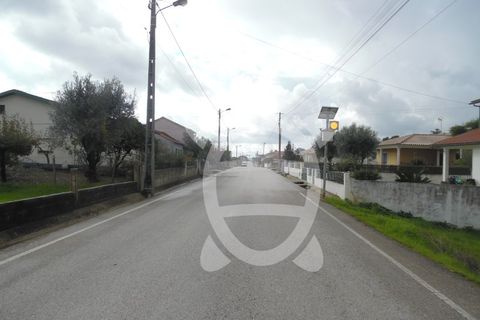 Tomt i Condeixa-a-Nova, Coimbra, Condeixa-a-Nova - € 56 500 | Ref: cdx0405 - foto 6