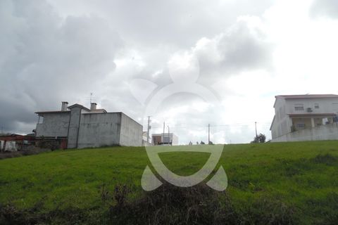 Tomt i Condeixa-a-Nova, Coimbra, Condeixa-a-Nova - € 56 500 | Ref: cdx0405 - foto 7