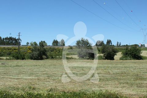 Terra a Condeixa-a-Nova, Coimbra, Condeixa-a-Nova - € 180.000 | Ref: cdx0298 - foto 3