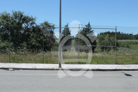 Terra a Condeixa-a-Nova, Coimbra, Condeixa-a-Nova - € 180.000 | Ref: cdx0298 - foto 4
