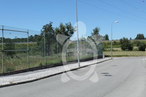 Terra a Condeixa-a-Nova, Coimbra, Condeixa-a-Nova - € 180.000 | Ref: cdx0298 - foto 5