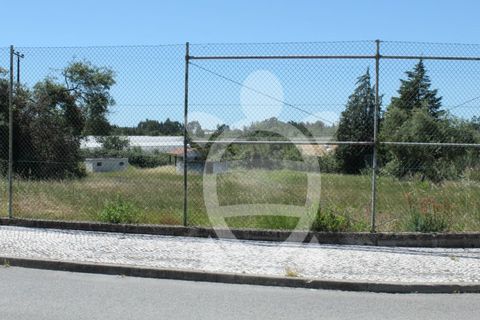 Terra a Condeixa-a-Nova, Coimbra, Condeixa-a-Nova - € 180.000 | Ref: cdx0298 - foto 6