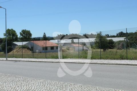 Terra a Condeixa-a-Nova, Coimbra, Condeixa-a-Nova - € 180.000 | Ref: cdx0298 - foto 8