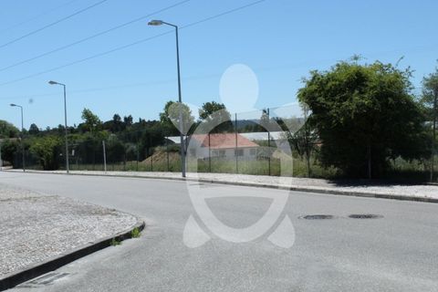 Terra a Condeixa-a-Nova, Coimbra, Condeixa-a-Nova - € 180.000 | Ref: cdx0298 - foto 9