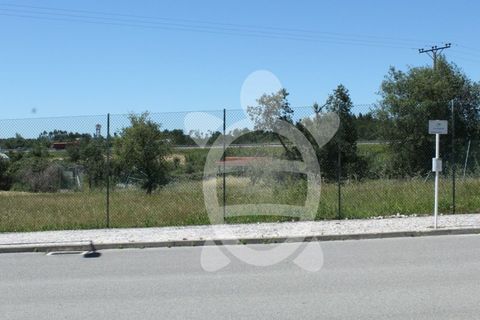 Terra a Condeixa-a-Nova, Coimbra, Condeixa-a-Nova - € 180.000 | Ref: cdx0298 - foto 11